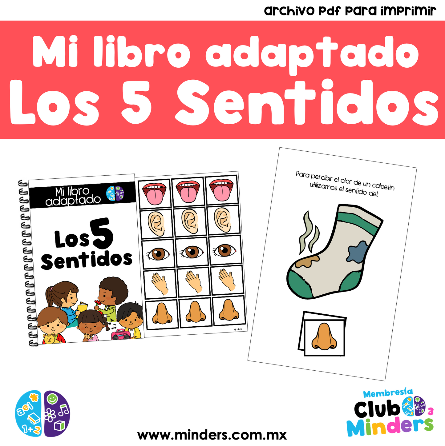 My adapted book - My 5 senses