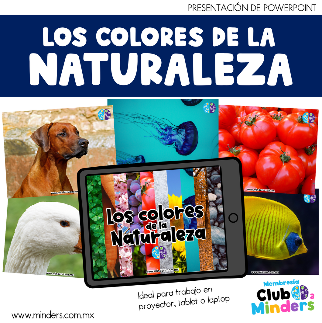 Los colores de la Naturaleza Presentación de Powerpoint