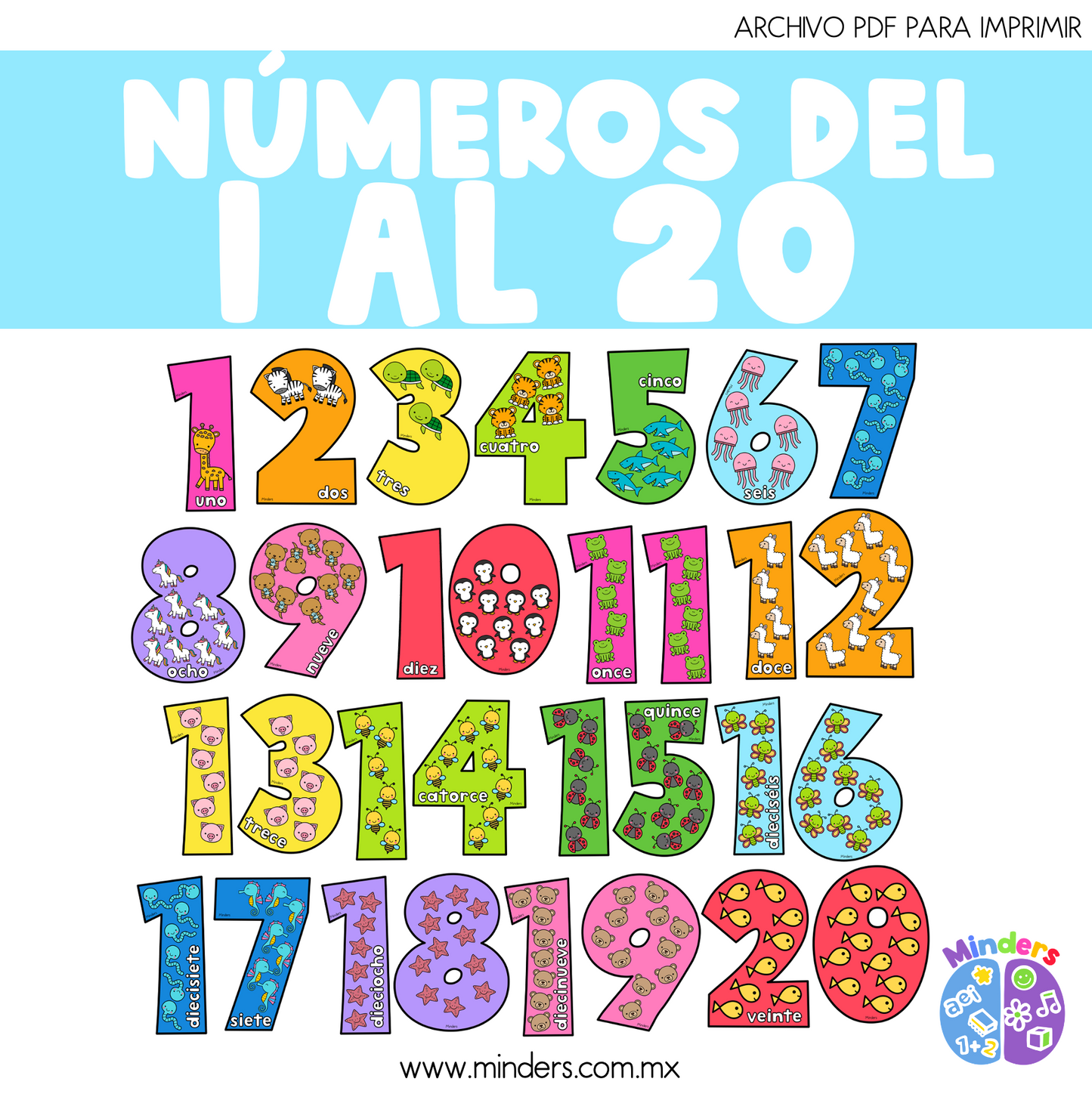 Numbers from 1 to 20 Little Animals