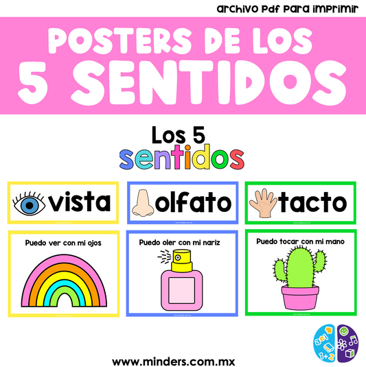 Posters de los 5 Sentidos