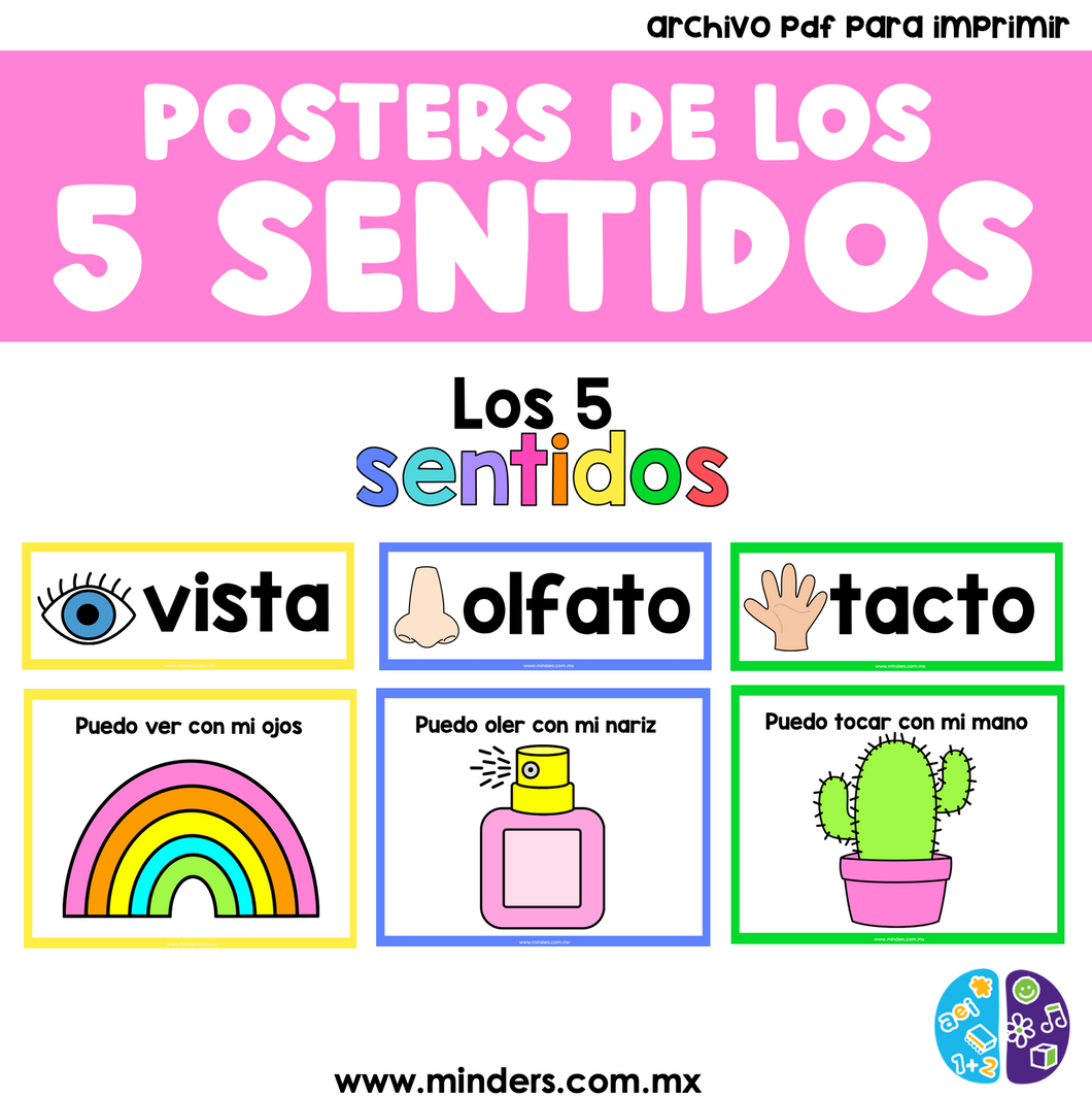 Posters of the 5 Senses