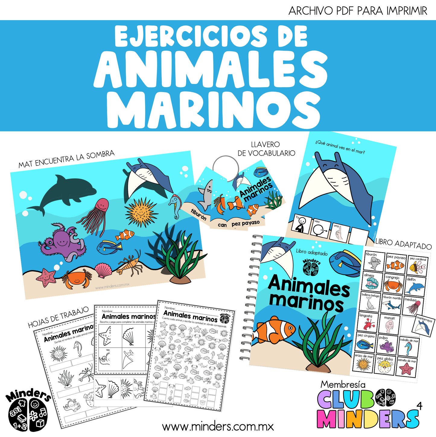 Marine Animals Exercises