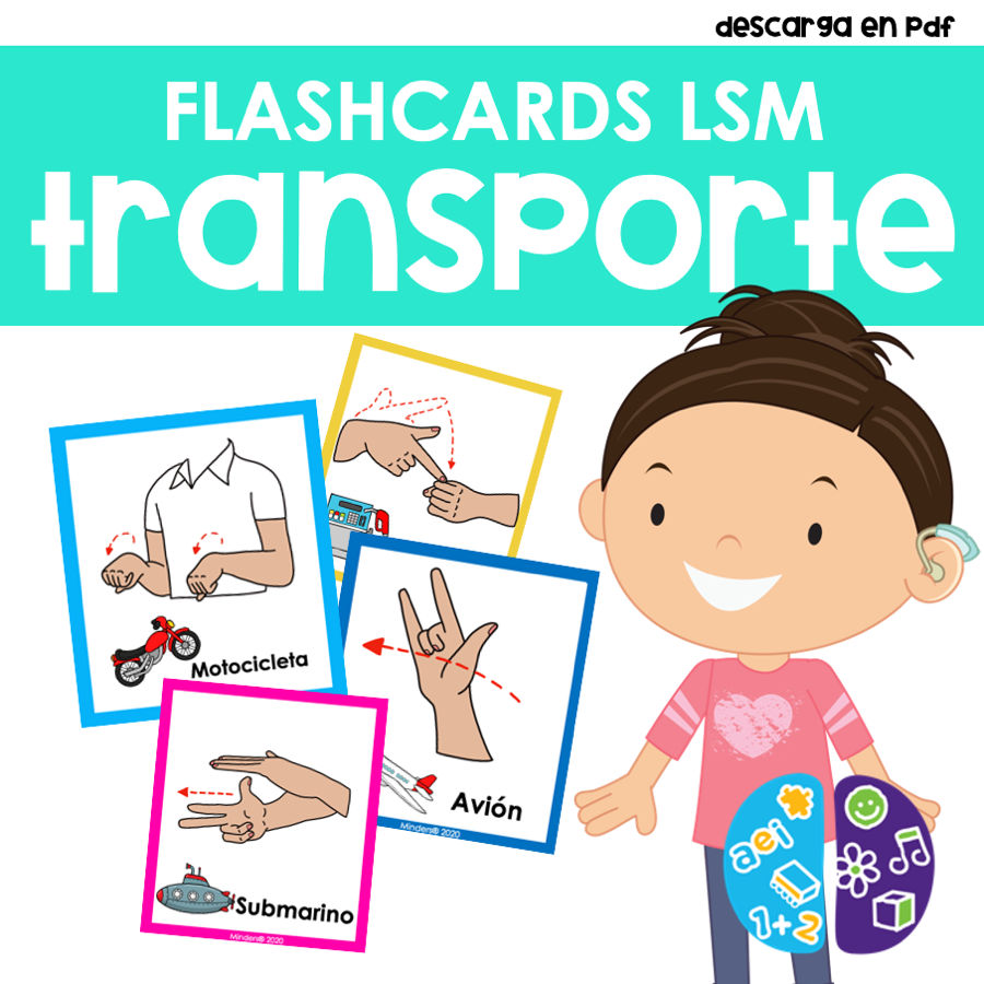 Flashcards Transporte LSM